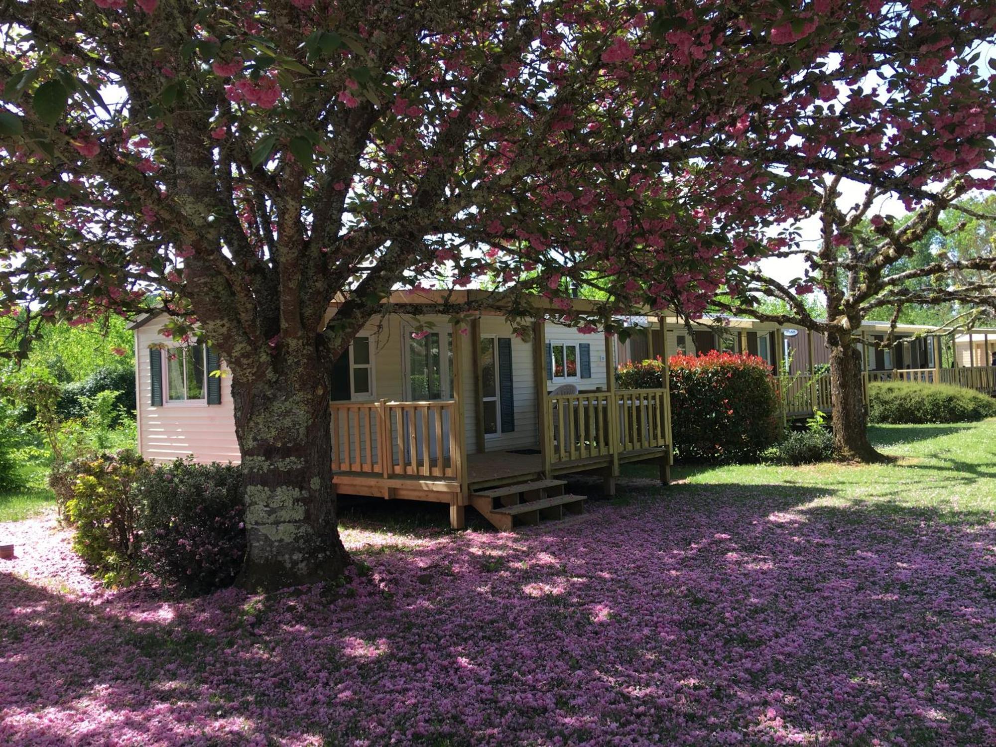 Camping La Ferme De Perdigat Limeuil Exterior foto
